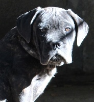 MENETIOS collier bleu ciel 